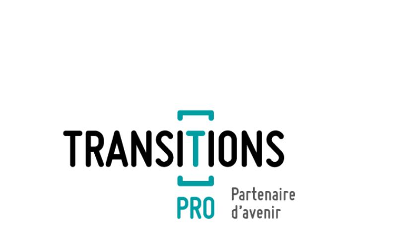 Logo Transition Pro